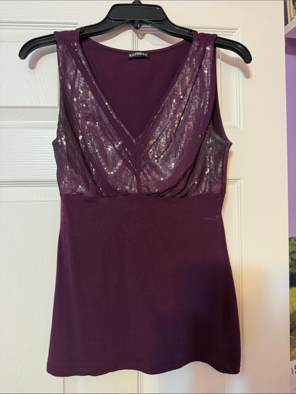Express Purple Sequin V-Neck Tank Top